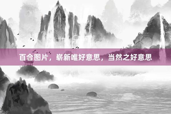 百合图片，崭新唯好意思，当然之好意思
