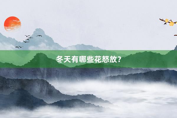 冬天有哪些花怒放？
