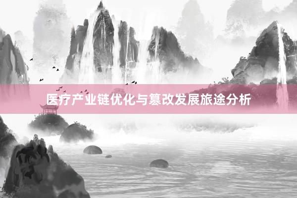医疗产业链优化与篡改发展旅途分析
