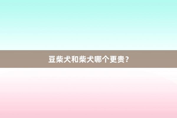豆柴犬和柴犬哪个更贵？