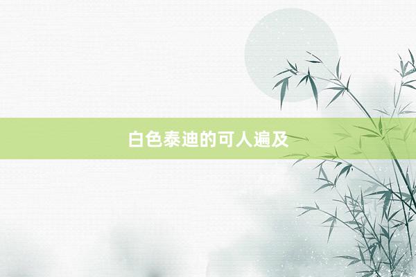 白色泰迪的可人遍及